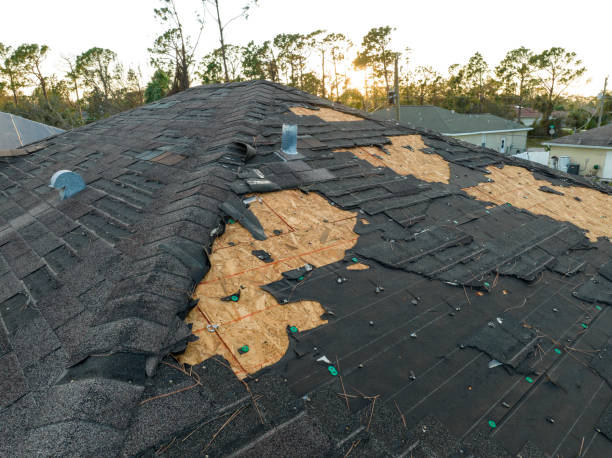 Best Chimney Flashing Repair  in Violet, LA