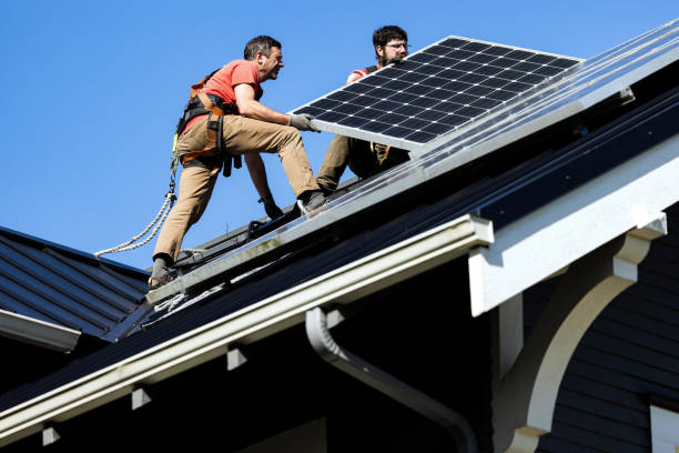 Best Roof Moss and Algae Removal  in Violet, LA